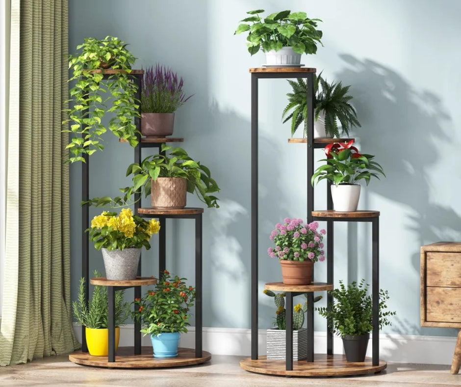 Plant Holders